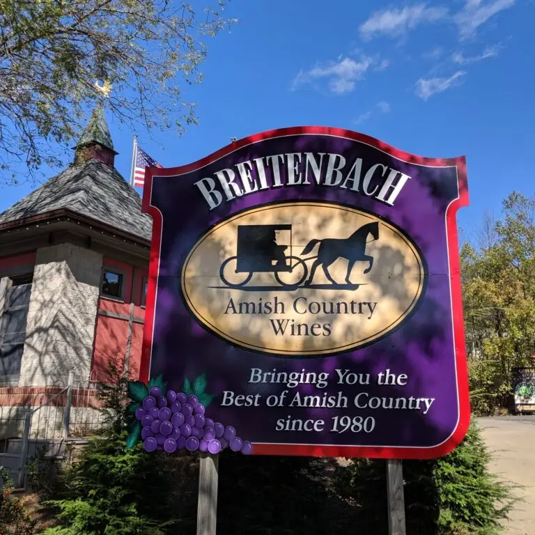 281070114_10163251442687355_2008173456353153913_n